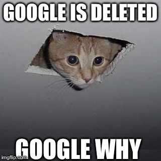 James Bond cat | GOOGLE IS DELETED; GOOGLE WHY | image tagged in james bond cat | made w/ Imgflip meme maker