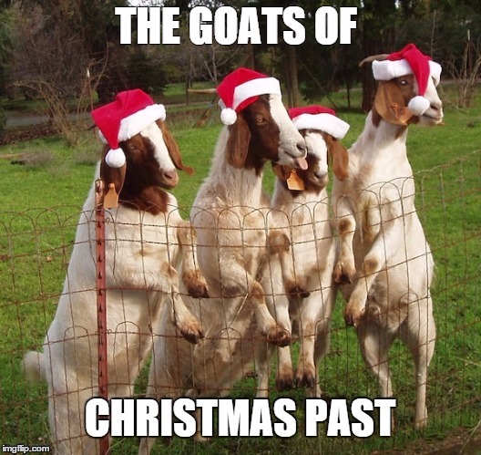 GOATS OF CHRISTMAS PAST©dml | image tagged in goat,goats,christmas,xmas,santa claus | made w/ Imgflip meme maker