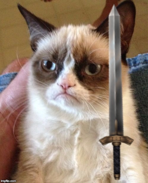 Grumpy Cat Meme | image tagged in memes,grumpy cat | made w/ Imgflip meme maker