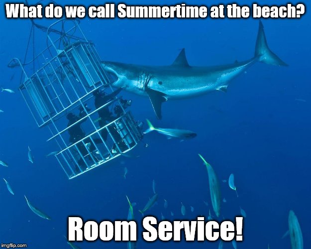 What do we call Summertime at the beach? Room Service! | image tagged in eeeeeeeewwewr3efd | made w/ Imgflip meme maker