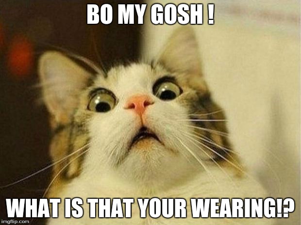 Scared Cat Meme | BO MY GOSH ! WHAT IS THAT YOUR WEARING!? | image tagged in memes,scared cat | made w/ Imgflip meme maker
