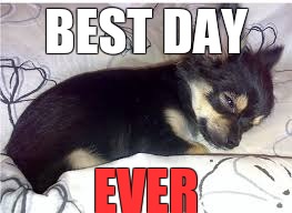 sleep | BEST DAY; EVER | image tagged in sleep | made w/ Imgflip meme maker