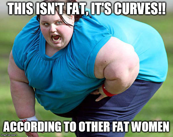 all women are beautiful? | THIS ISN'T FAT, IT'S CURVES!! ACCORDING TO OTHER FAT WOMEN | image tagged in fat | made w/ Imgflip meme maker