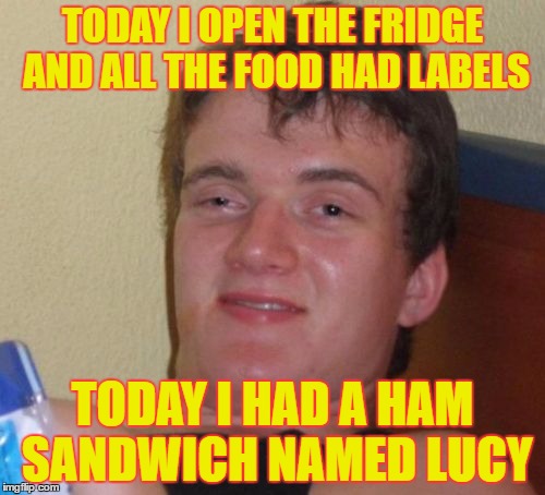 10 Guy | TODAY I OPEN THE FRIDGE AND ALL THE FOOD HAD LABELS; TODAY I HAD A HAM SANDWICH NAMED LUCY | image tagged in memes,10 guy | made w/ Imgflip meme maker