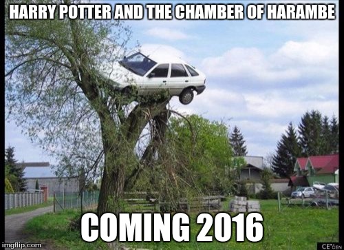 Secure Parking | HARRY POTTER AND THE CHAMBER OF HARAMBE; COMING 2016 | image tagged in memes,secure parking | made w/ Imgflip meme maker