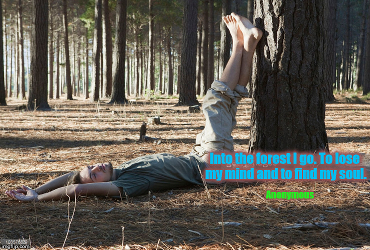 Into the forest I go. To lose my mind and to find my soul. Anonymous | image tagged in barefoot | made w/ Imgflip meme maker