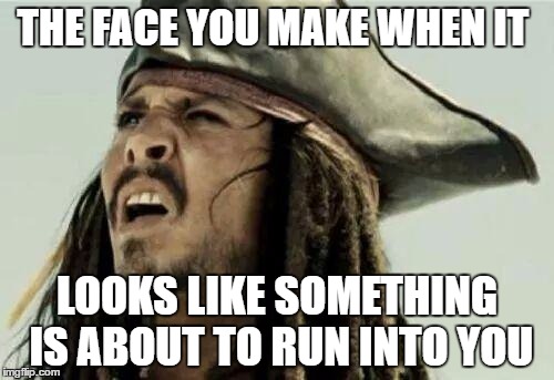 The face you make | THE FACE YOU MAKE WHEN IT; LOOKS LIKE SOMETHING IS ABOUT TO RUN INTO YOU | image tagged in the face you make | made w/ Imgflip meme maker