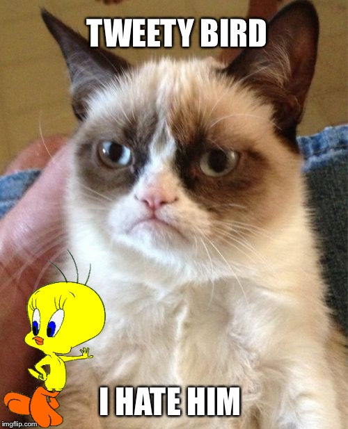 Grumpy Cat | TWEETY BIRD; I HATE HIM | image tagged in memes,grumpy cat | made w/ Imgflip meme maker