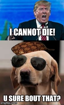I CANNOT DIE! U SURE BOUT THAT? | image tagged in trump meme | made w/ Imgflip meme maker