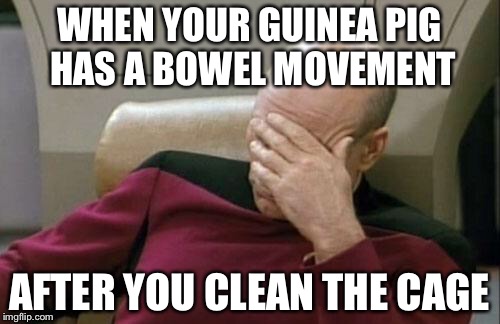 Captain Picard Facepalm | WHEN YOUR GUINEA PIG HAS A BOWEL MOVEMENT; AFTER YOU CLEAN THE CAGE | image tagged in memes,captain picard facepalm | made w/ Imgflip meme maker