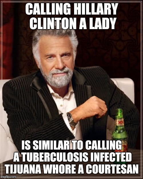 The Most Interesting Man In The World Meme | CALLING HILLARY CLINTON A LADY IS SIMILAR TO CALLING A TUBERCULOSIS INFECTED TIJUANA W**RE A COURTESAN | image tagged in memes,the most interesting man in the world | made w/ Imgflip meme maker