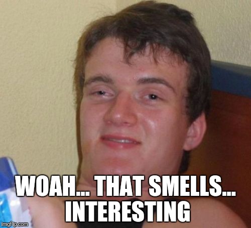 10 Guy Meme | WOAH... THAT SMELLS... INTERESTING | image tagged in memes,10 guy | made w/ Imgflip meme maker