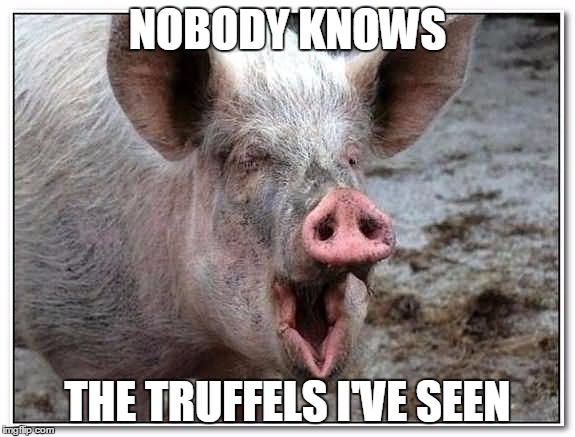 pig | NOBODY KNOWS; THE TRUFFELS I'VE SEEN | image tagged in pig | made w/ Imgflip meme maker