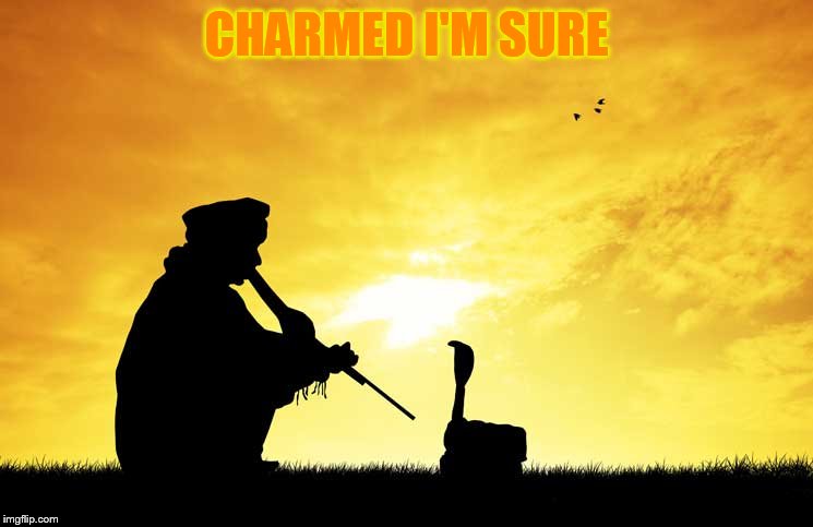 CHARMED I'M SURE | made w/ Imgflip meme maker