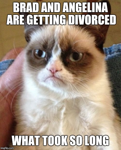 Grumpy Cat Meme | BRAD AND ANGELINA ARE GETTING DIVORCED; WHAT TOOK SO LONG | image tagged in memes,grumpy cat | made w/ Imgflip meme maker