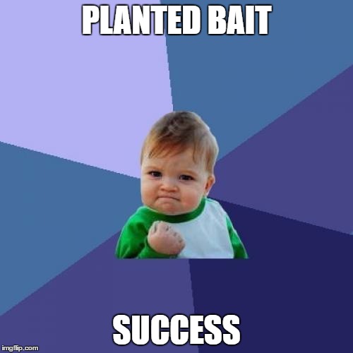 Success Kid Meme | PLANTED BAIT; SUCCESS | image tagged in memes,success kid | made w/ Imgflip meme maker
