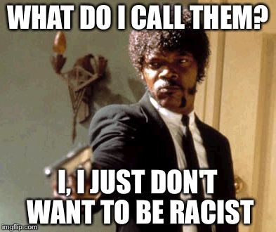 Political Correctness and Arrest | WHAT DO I CALL THEM? I, I JUST DON'T WANT TO BE RACIST | image tagged in memes,say that again i dare you | made w/ Imgflip meme maker