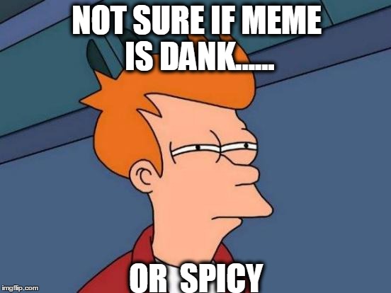Futurama Fry Meme | NOT SURE IF MEME IS DANK...... OR  SPICY | image tagged in memes,futurama fry | made w/ Imgflip meme maker