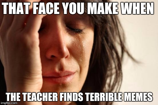 First World Problems | THAT FACE YOU MAKE WHEN; THE TEACHER FINDS TERRIBLE MEMES | image tagged in memes,first world problems | made w/ Imgflip meme maker