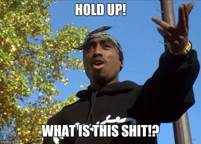 HOLD UP! WHAT IS THIS SHIT!? | image tagged in 2pac,above the rim,tupac shakur,birdie,movies,black | made w/ Imgflip meme maker