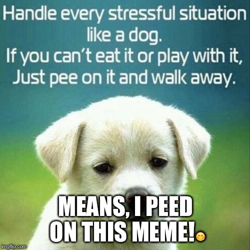 MEANS, I PEED ON THIS MEME!😋 | image tagged in meme | made w/ Imgflip meme maker