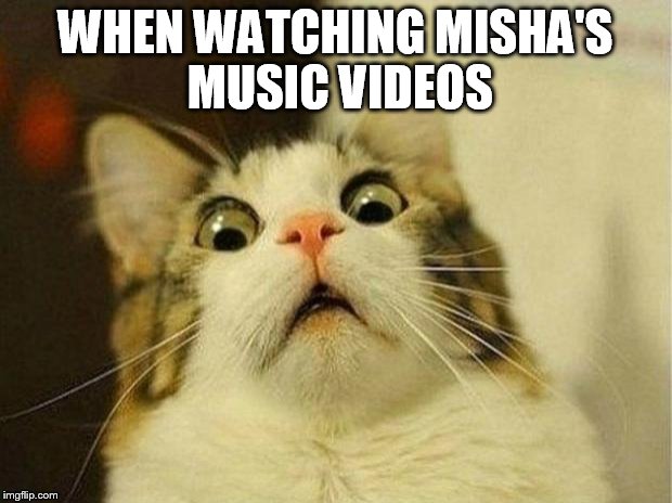 Scared Cat | WHEN WATCHING MISHA'S MUSIC VIDEOS | image tagged in memes,scared cat | made w/ Imgflip meme maker