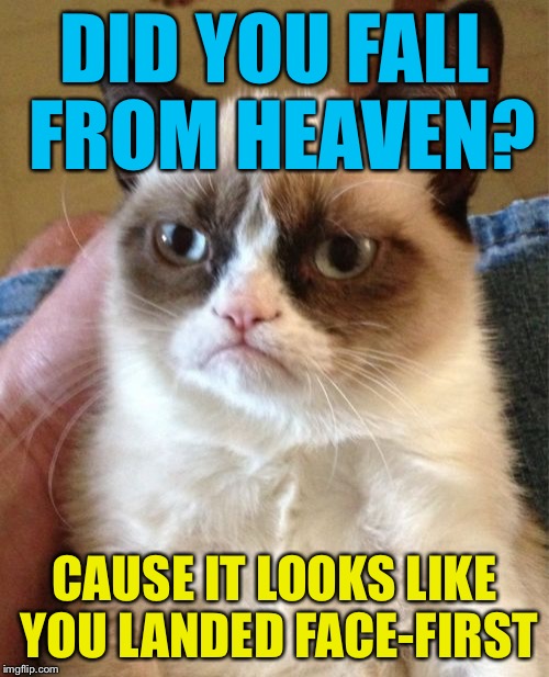 Grumpy Cat | DID YOU FALL FROM HEAVEN? CAUSE IT LOOKS LIKE YOU LANDED FACE-FIRST | image tagged in memes,grumpy cat | made w/ Imgflip meme maker