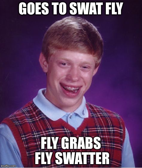 Bad Luck Brian | GOES TO SWAT FLY; FLY GRABS FLY SWATTER | image tagged in memes,bad luck brian | made w/ Imgflip meme maker