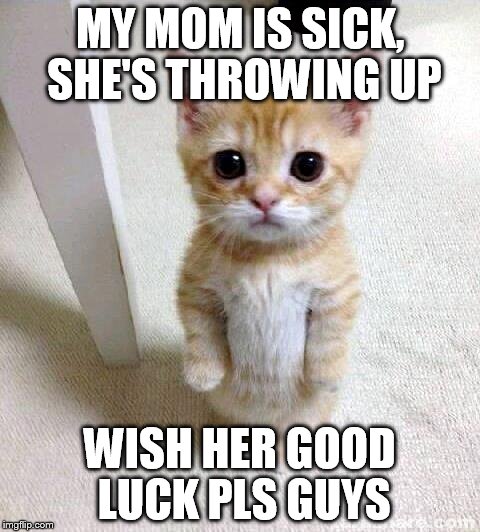 you guys are awesome, I love the community here, and she said she's feeling better. just wish her good luck pls :D | MY MOM IS SICK, SHE'S THROWING UP; WISH HER GOOD LUCK PLS GUYS | image tagged in memes,cute cat | made w/ Imgflip meme maker