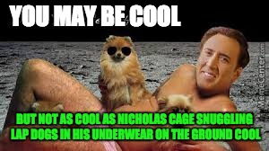 YOU MAY BE COOL; BUT NOT AS COOL AS NICHOLAS CAGE SNUGGLING LAP DOGS IN HIS UNDERWEAR ON THE GROUND COOL | image tagged in nicholas cage | made w/ Imgflip meme maker