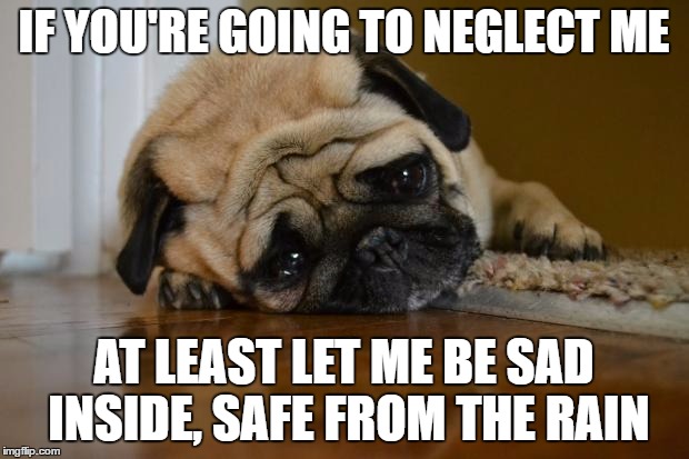 sad dog | IF YOU'RE GOING TO NEGLECT ME; AT LEAST LET ME BE SAD INSIDE, SAFE FROM THE RAIN | image tagged in sad dog | made w/ Imgflip meme maker