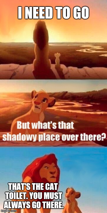 Simba Shadowy Place Meme | I NEED TO GO; THAT'S THE CAT TOILET. YOU MUST ALWAYS GO THERE. | image tagged in memes,simba shadowy place | made w/ Imgflip meme maker