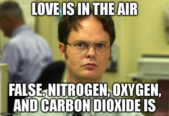 Dwight Schrute Meme | LOVE IS IN THE AIR; FALSE. NITROGEN, OXYGEN, AND CARBON DIOXIDE IS | image tagged in memes,dwight schrute | made w/ Imgflip meme maker