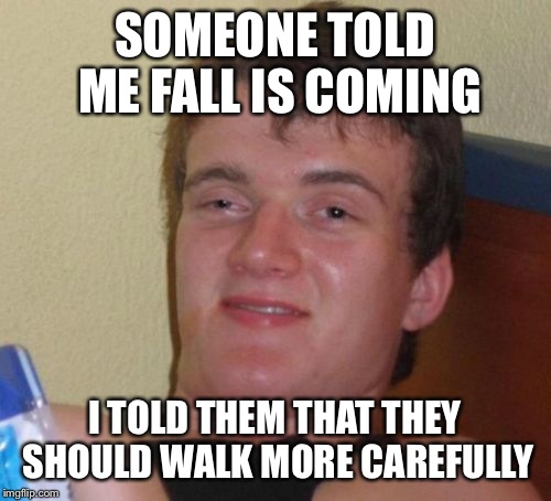10 Guy Meme | SOMEONE TOLD ME FALL IS COMING; I TOLD THEM THAT THEY SHOULD WALK MORE CAREFULLY | image tagged in memes,10 guy | made w/ Imgflip meme maker