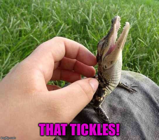 THAT TICKLES! | made w/ Imgflip meme maker