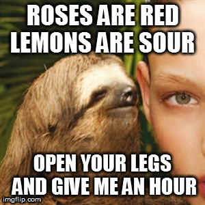 Whisper Sloth Meme | image tagged in memes,whisper sloth | made w/ Imgflip meme maker