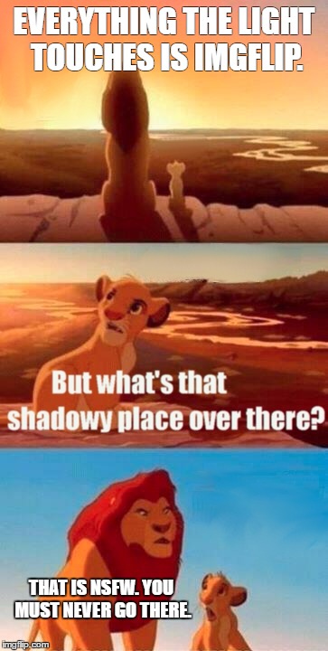 Simba Shadowy Place Meme | EVERYTHING THE LIGHT TOUCHES IS IMGFLIP. THAT IS NSFW. YOU MUST NEVER GO THERE. | image tagged in memes,simba shadowy place | made w/ Imgflip meme maker