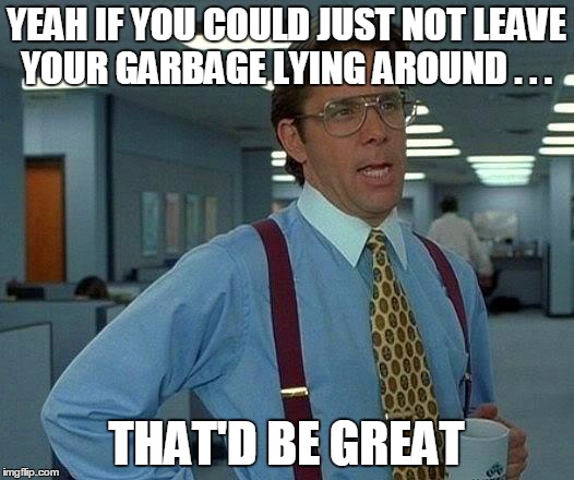That Would Be Great Meme | YEAH IF YOU COULD JUST NOT LEAVE YOUR GARBAGE LYING AROUND . . . THAT'D BE GREAT | image tagged in memes,that would be great | made w/ Imgflip meme maker