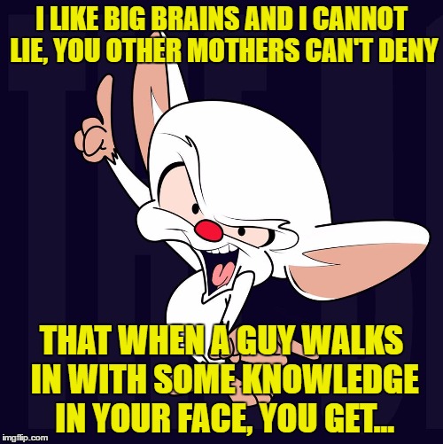 Brain pointing | I LIKE BIG BRAINS AND I CANNOT LIE, YOU OTHER MOTHERS CAN'T DENY; THAT WHEN A GUY WALKS IN WITH SOME KNOWLEDGE IN YOUR FACE, YOU GET... | image tagged in brain pointing | made w/ Imgflip meme maker