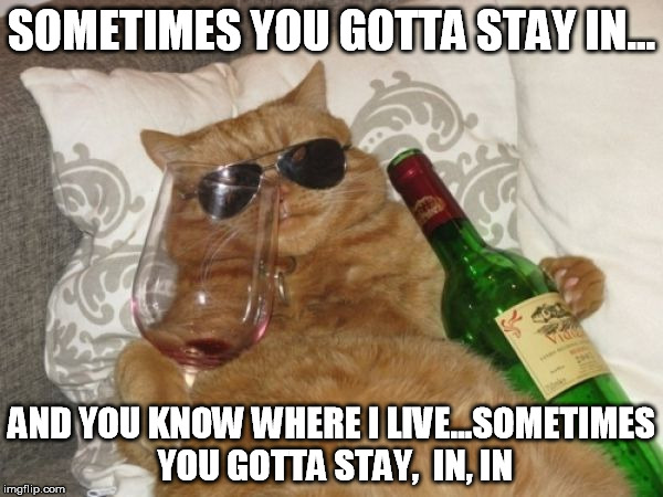 Wine Cat Birthday | SOMETIMES YOU GOTTA STAY IN... AND YOU KNOW WHERE I LIVE...SOMETIMES YOU GOTTA STAY,  IN, IN | image tagged in wine cat birthday | made w/ Imgflip meme maker