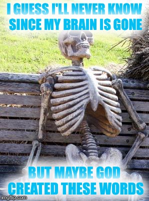 Waiting Skeleton | I GUESS I'LL NEVER KNOW SINCE MY BRAIN IS GONE; BUT MAYBE GOD CREATED THESE WORDS | image tagged in memes,waiting skeleton | made w/ Imgflip meme maker