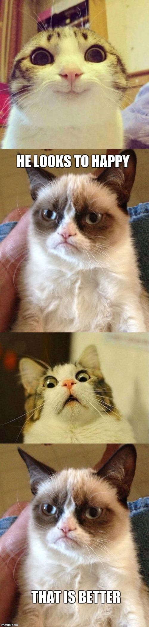 To Happy | HE LOOKS TO HAPPY; THAT IS BETTER | image tagged in grumpy cat,happy cat smiling,scared cat | made w/ Imgflip meme maker