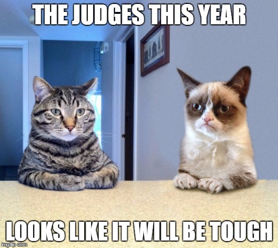 Two Grumpy Cats | THE JUDGES THIS YEAR; LOOKS LIKE IT WILL BE TOUGH | image tagged in two grumpy cats | made w/ Imgflip meme maker