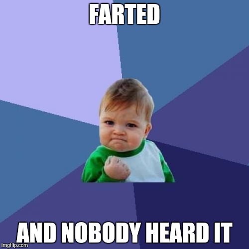 Success Kid Meme | FARTED; AND NOBODY HEARD IT | image tagged in memes,success kid | made w/ Imgflip meme maker
