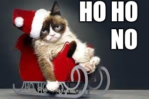 Grumpy Cat Christmas | HO HO; NO | image tagged in grumpy cat christmas | made w/ Imgflip meme maker