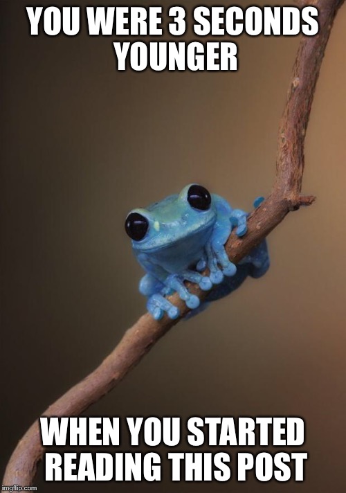small fact frog | YOU WERE 3 SECONDS YOUNGER; WHEN YOU STARTED READING THIS POST | image tagged in small fact frog | made w/ Imgflip meme maker