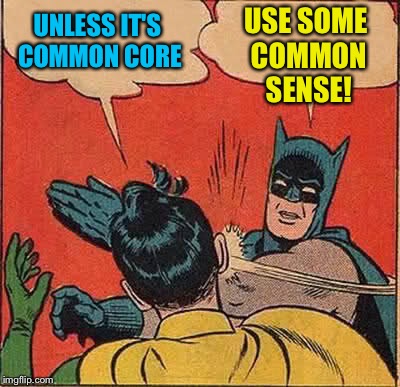 Batman Slapping Robin Meme | UNLESS IT'S COMMON CORE USE SOME COMMON SENSE! | image tagged in memes,batman slapping robin | made w/ Imgflip meme maker