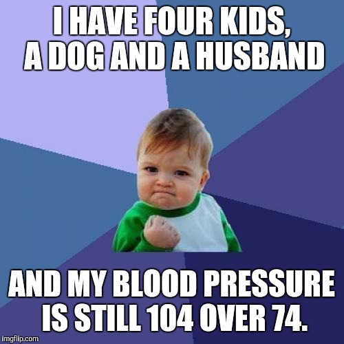 Success Kid | I HAVE FOUR KIDS, A DOG AND A HUSBAND; AND MY BLOOD PRESSURE IS STILL 104 OVER 74. | image tagged in memes,success kid | made w/ Imgflip meme maker