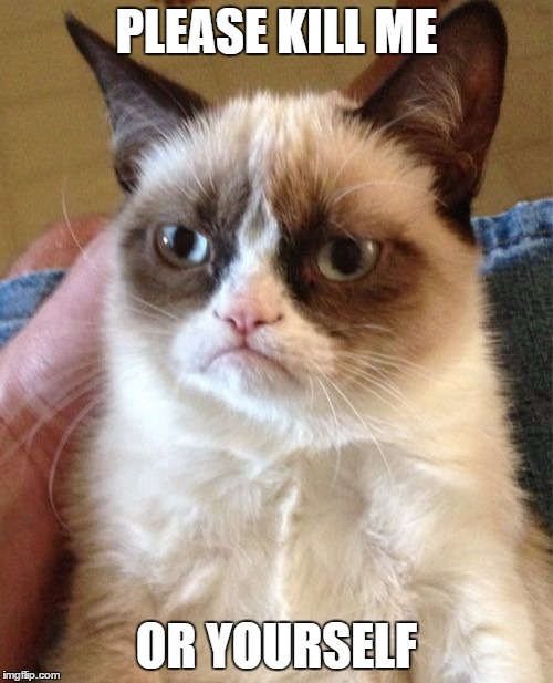 Grumpy Cat Meme | PLEASE KILL ME; OR YOURSELF | image tagged in memes,grumpy cat | made w/ Imgflip meme maker
