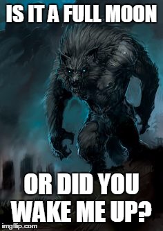 werewolf | IS IT A FULL MOON; OR DID YOU WAKE ME UP? | image tagged in werewolf | made w/ Imgflip meme maker